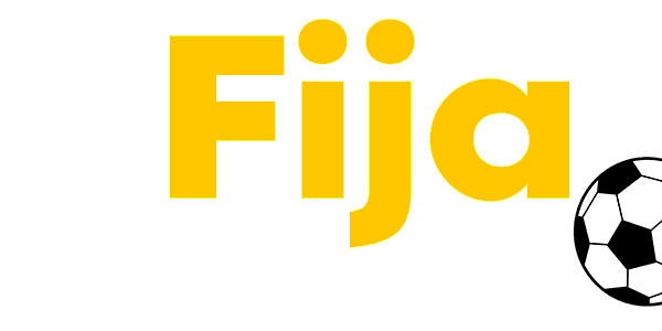 Visa partner logo